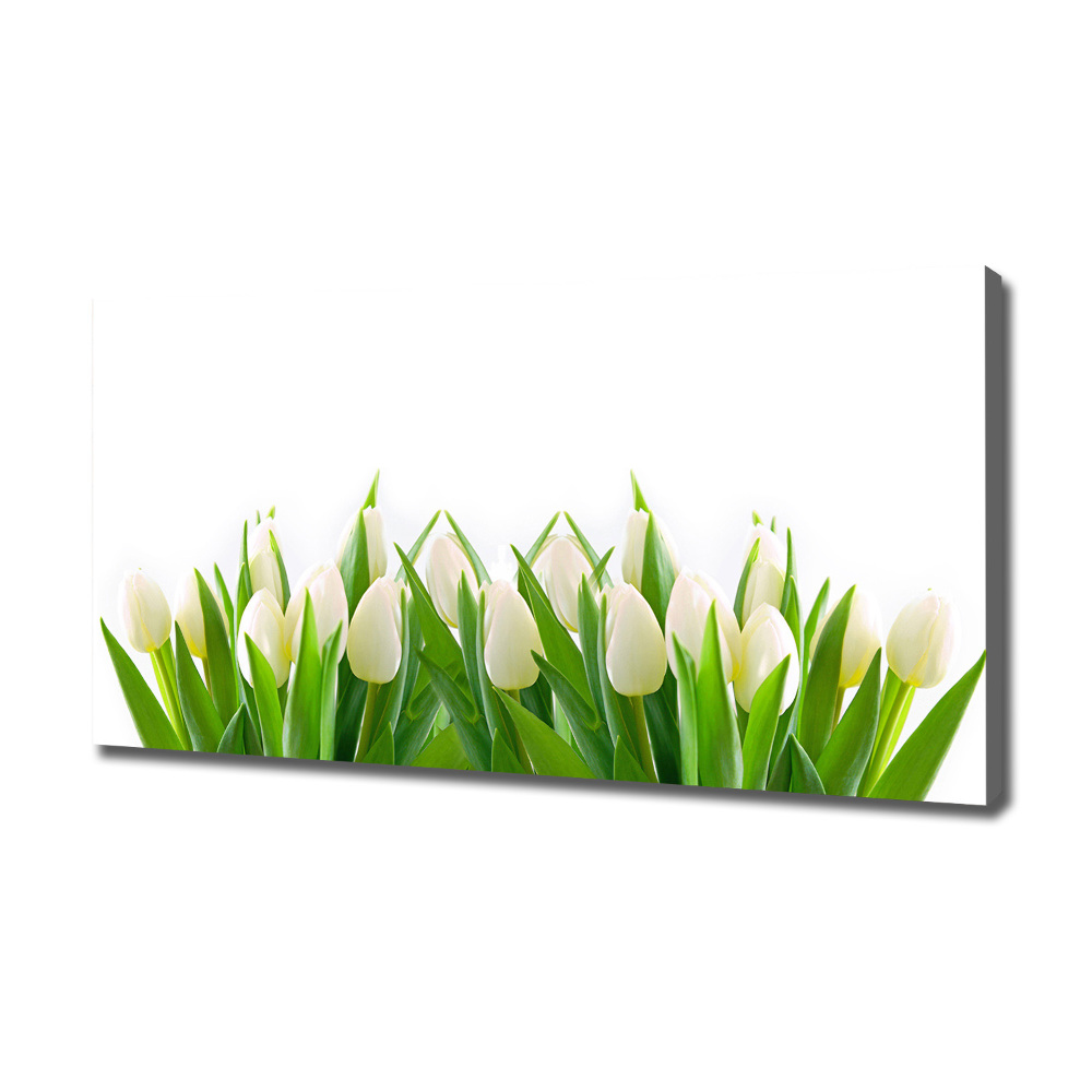 Canvas wall art White tulips