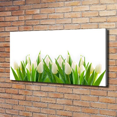 Canvas wall art White tulips