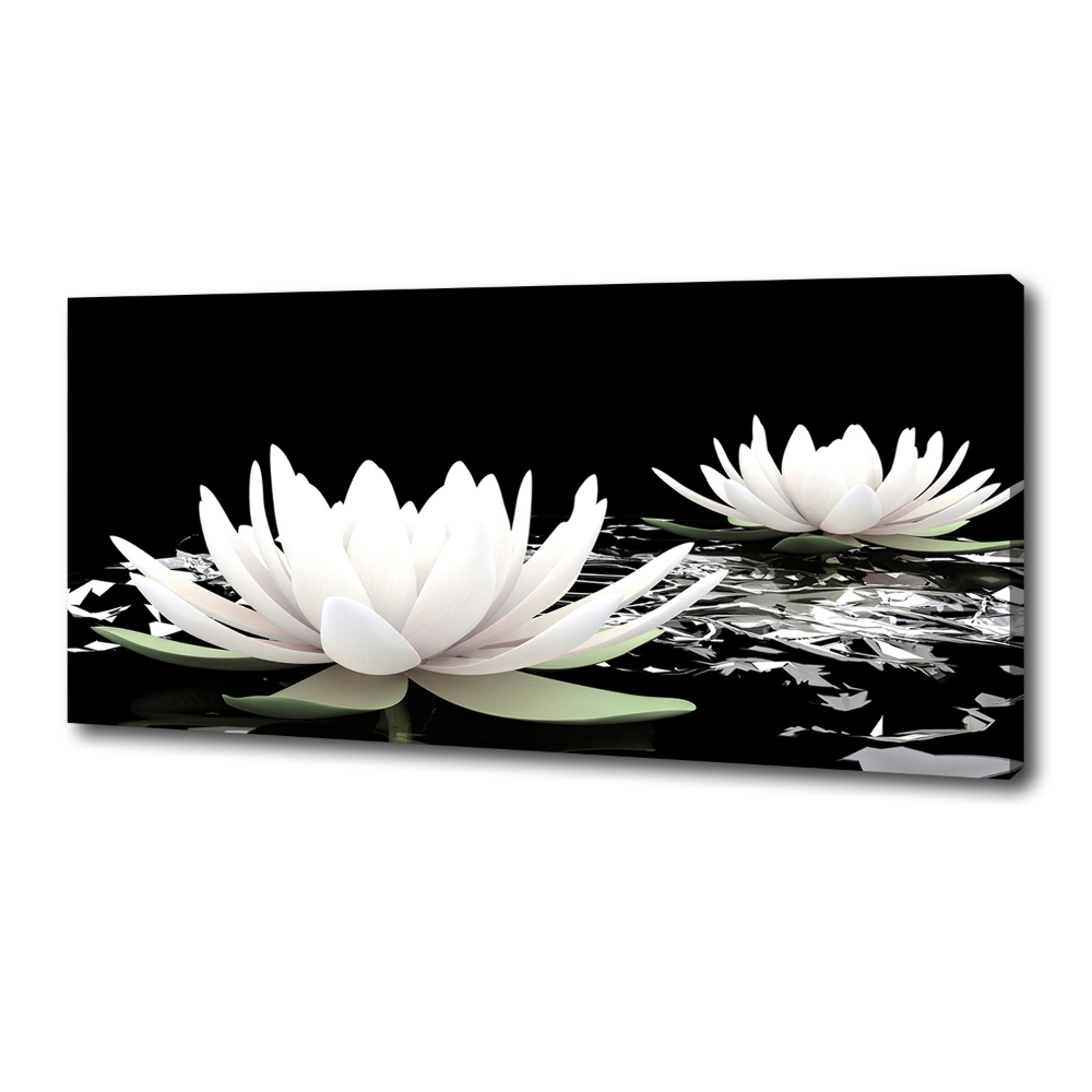 Canvas wall art Water lilies