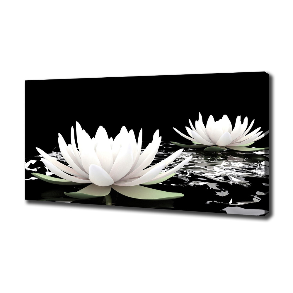 Canvas wall art Water lilies