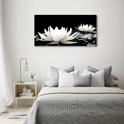 Canvas wall art Water lilies