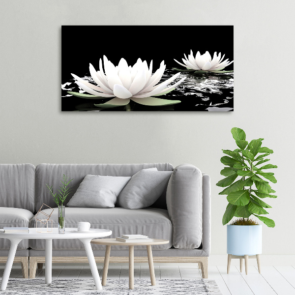 Canvas wall art Water lilies