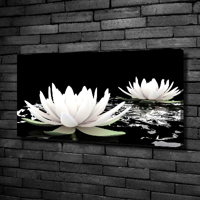 Canvas wall art Water lilies