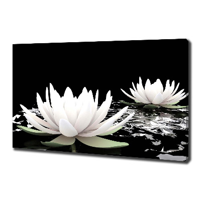 Canvas wall art Water lilies