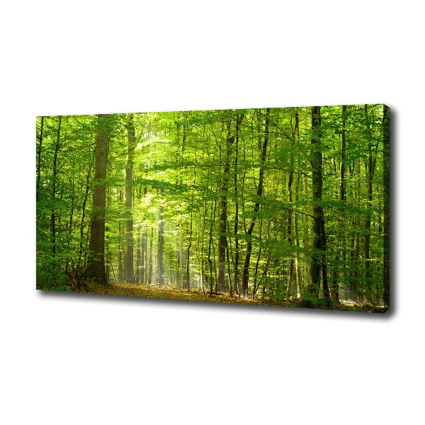 Canvas wall art Deciduous forest