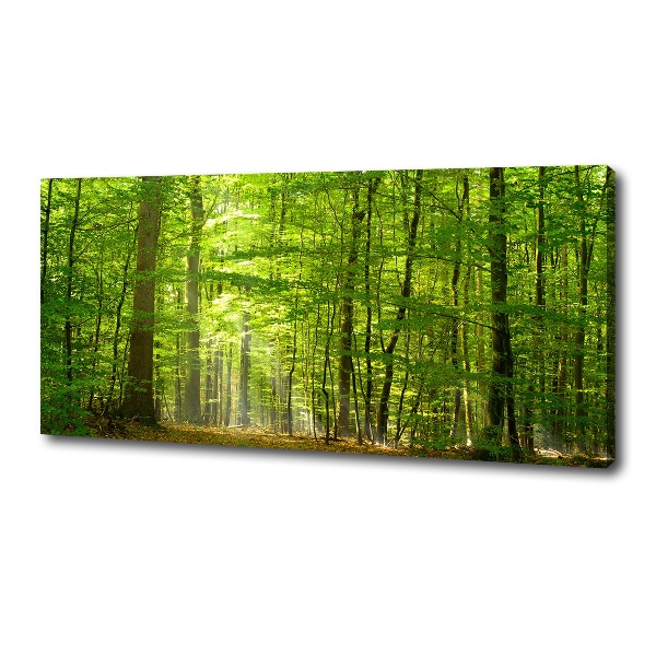 Canvas wall art Deciduous forest