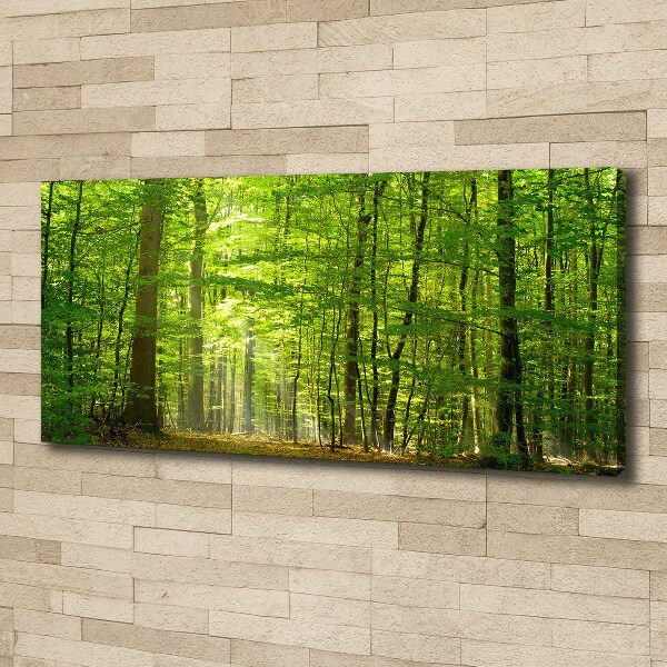 Canvas wall art Deciduous forest