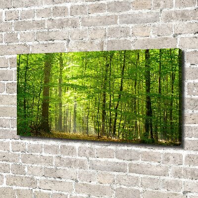 Canvas wall art Deciduous forest