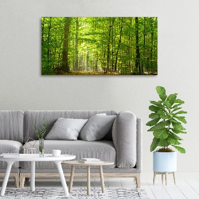 Canvas wall art Deciduous forest