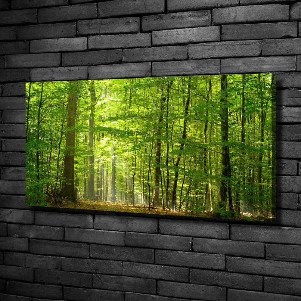 Canvas wall art Deciduous forest