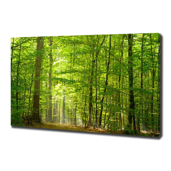 Canvas wall art Deciduous forest