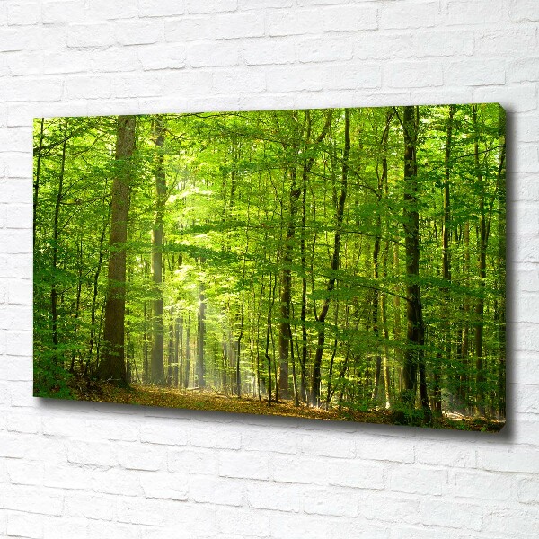 Canvas wall art Deciduous forest