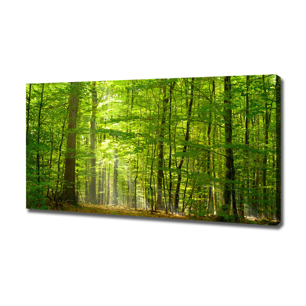 Canvas wall art Deciduous forest