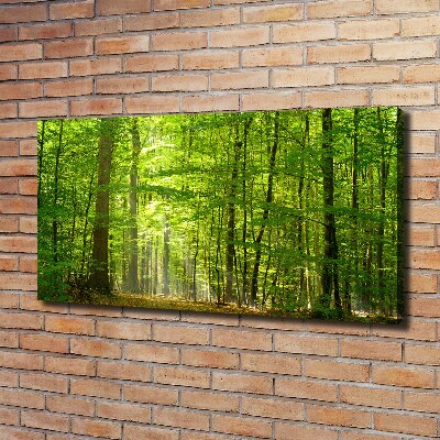 Canvas wall art Deciduous forest