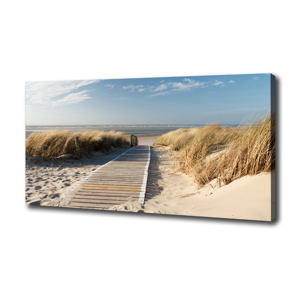 Canvas wall art Path on the beach