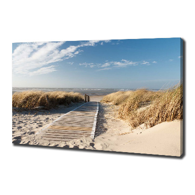 Canvas wall art Path on the beach