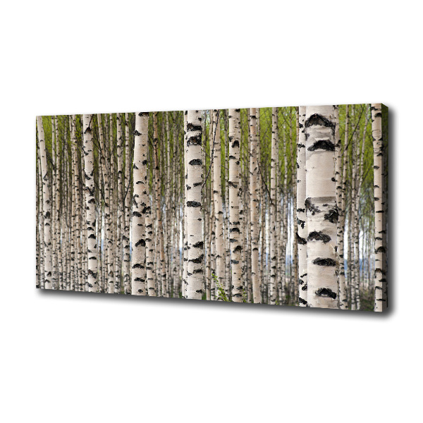 Canvas wall art Birch forest