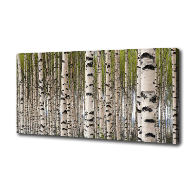 Canvas wall art Birch forest