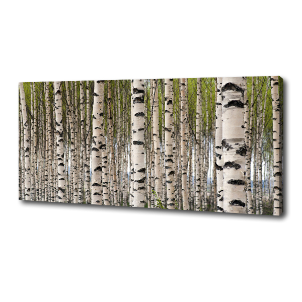 Canvas wall art Birch forest