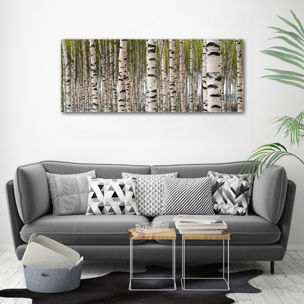 Canvas wall art Birch forest