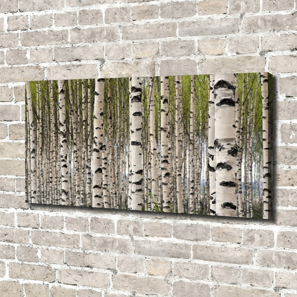 Canvas wall art Birch forest