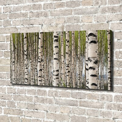 Canvas wall art Birch forest