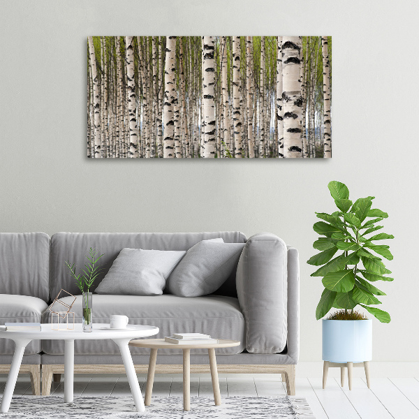 Canvas wall art Birch forest