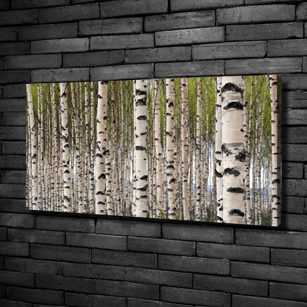 Canvas wall art Birch forest