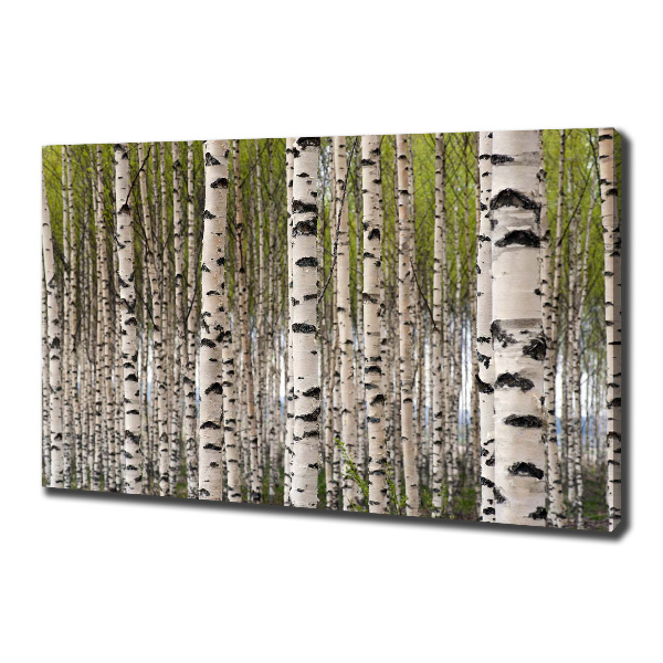 Canvas wall art Birch forest