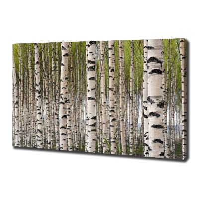 Canvas wall art Birch forest