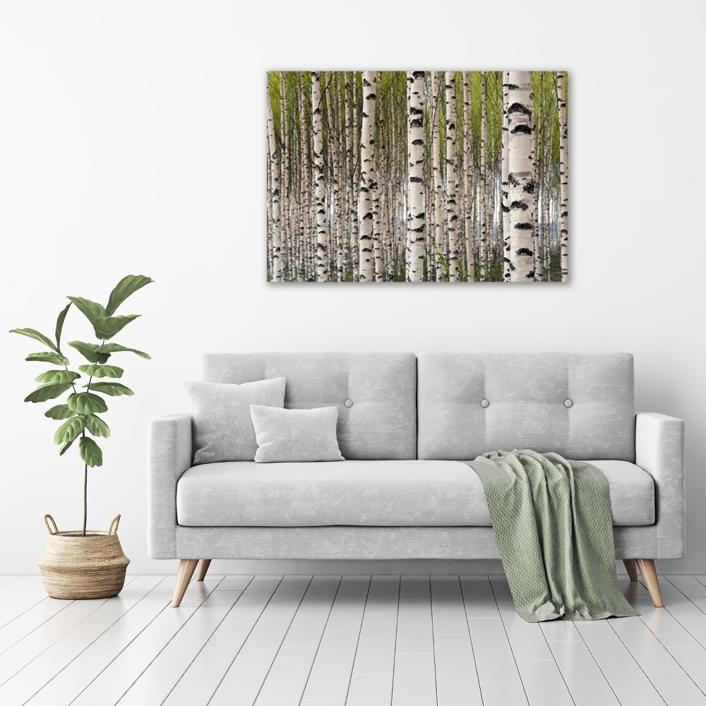 Canvas wall art Birch forest