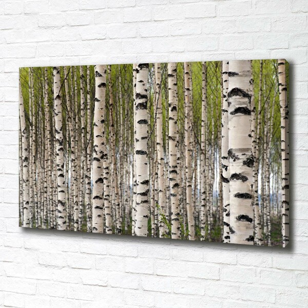 Canvas wall art Birch forest