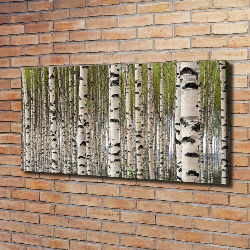 Canvas wall art Birch forest