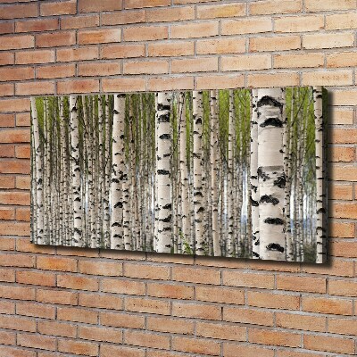 Canvas wall art Birch forest