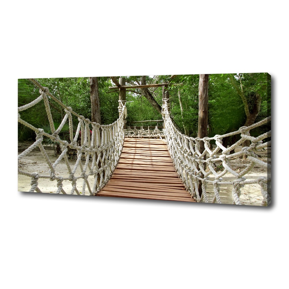 Canvas wall art Rope bridge