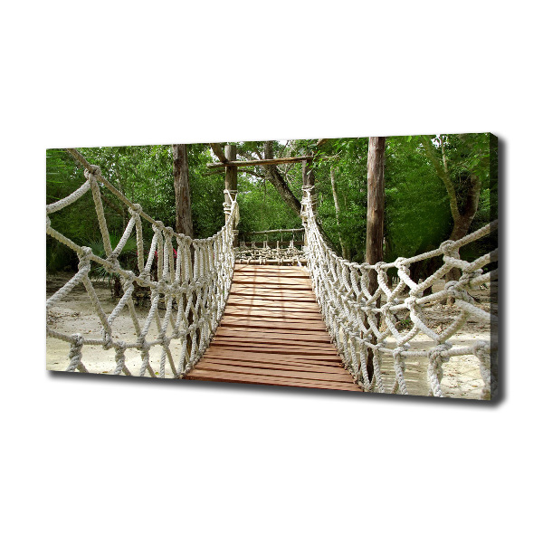 Canvas wall art Rope bridge