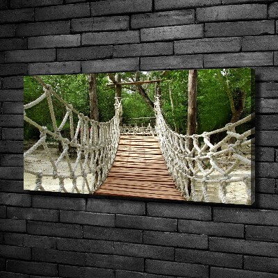 Canvas wall art Rope bridge