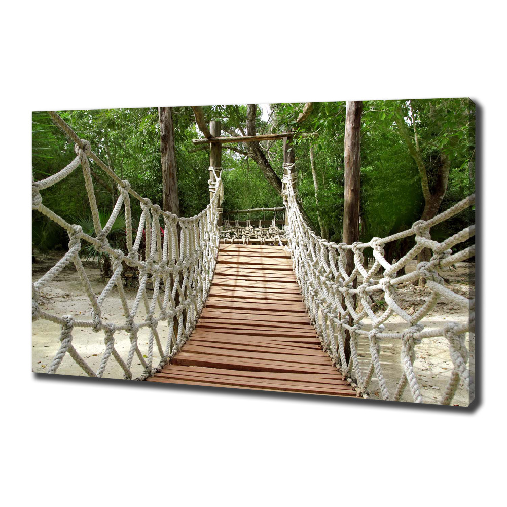 Canvas wall art Rope bridge