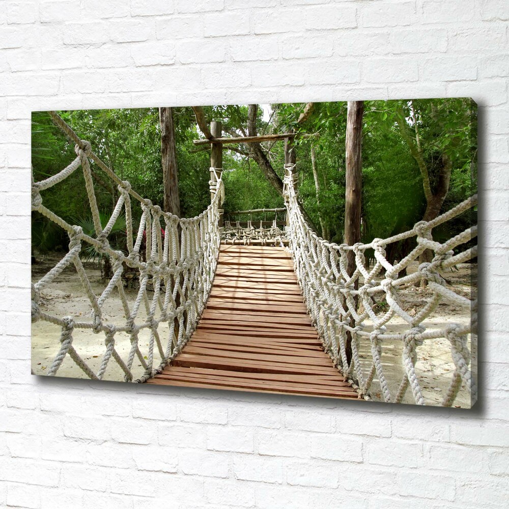 Canvas wall art Rope bridge