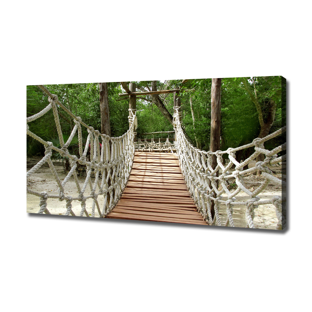 Canvas wall art Rope bridge