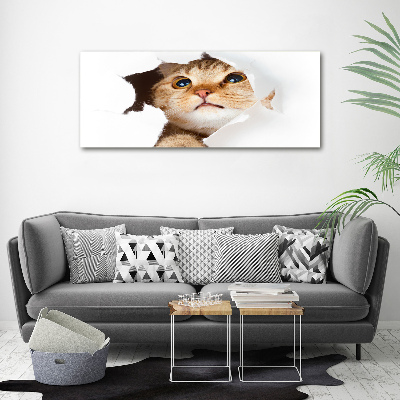 Wall art canvas large Cat in a hole