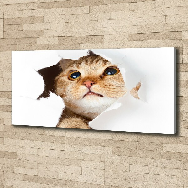 Wall art canvas large Cat in a hole