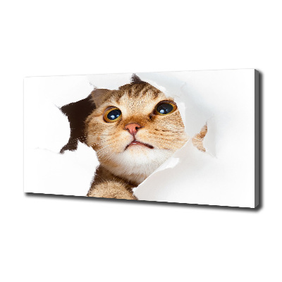 Wall art canvas large Cat in a hole