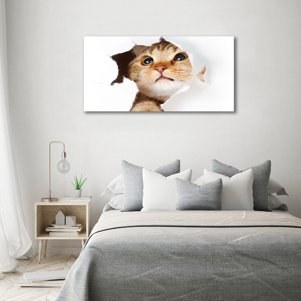 Wall art canvas large Cat in a hole