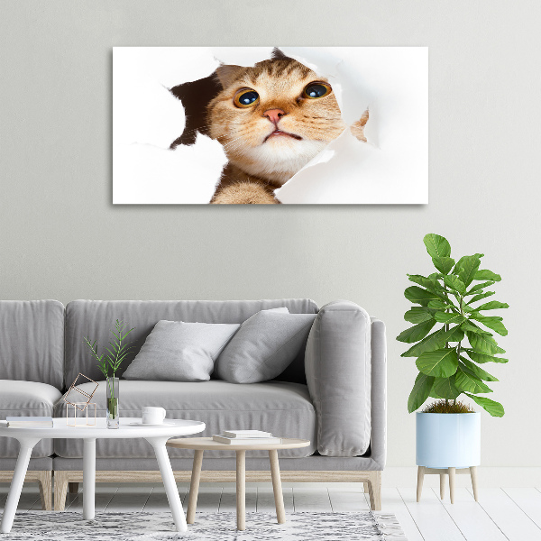 Wall art canvas large Cat in a hole