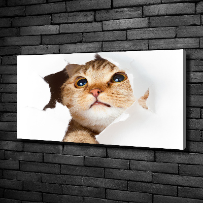 Wall art canvas large Cat in a hole