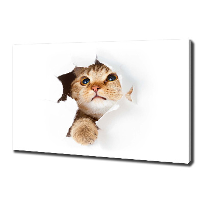 Wall art canvas large Cat in a hole