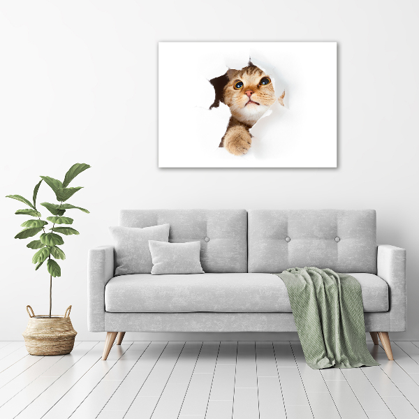 Wall art canvas large Cat in a hole