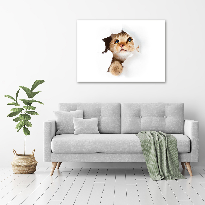 Wall art canvas large Cat in a hole