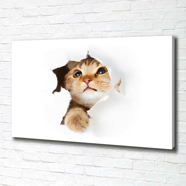 Wall art canvas large Cat in a hole